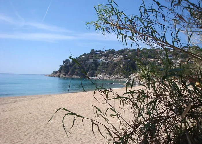 Papaya Lloret de Mar