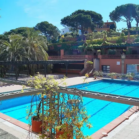 Papaya * 료렛 드 마르